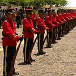 the honour guard