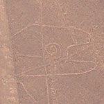 Took the flight over the Nazca Lines. Here's the Whale. It's 63m long.