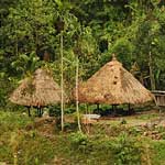 Nipa huts ... there's a photo of the inside of one later on