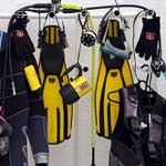 What the well-equipped diver is wearing...